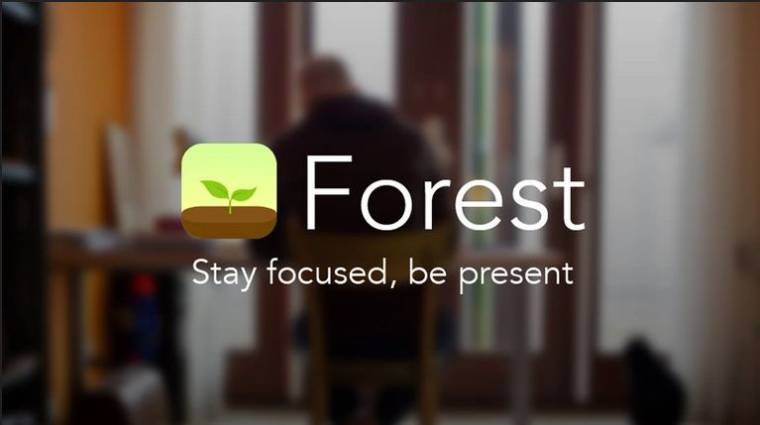Forest APK