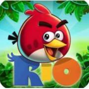 Angry Birds Rio icon