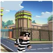 Cops N Robbers icon