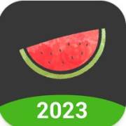 Melon VPN icon